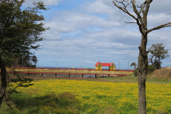 El humedal del Parque María Behety