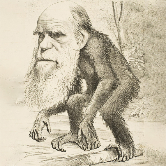 Darwin representado en una revista satírica en 1870.